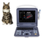 Máquina veterinaria de ultrasonografía Doppler color 4D con tableta