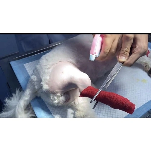 Vendaje elástico autoadhesivo no tejido colorido para veterinario