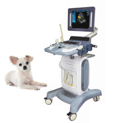 Carro de ultrasonido Doppler color veterinario completamente digital